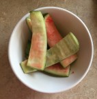 Compost Watermelon